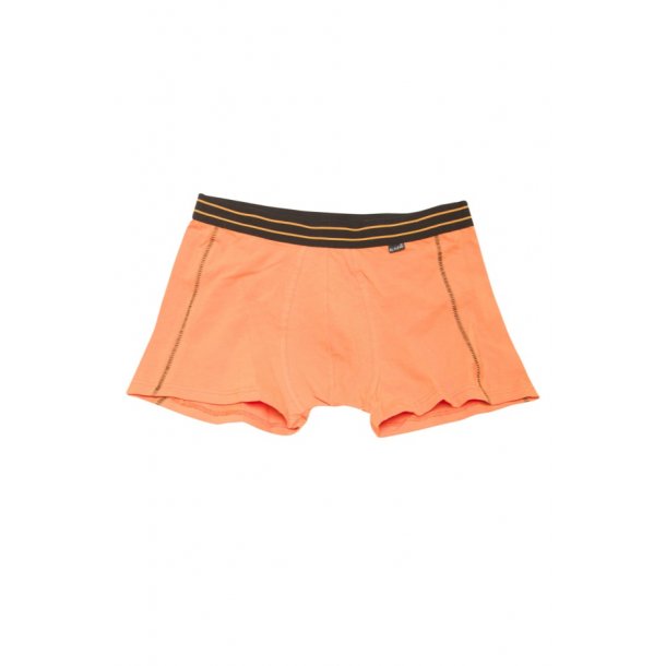 Banke pille To grader Hammerthor boxershorts. Orange med sort elastik. Tilbud - Undertøj - Samsø  Nature